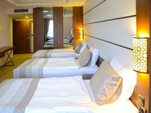 Safa Royal Museum Hotel