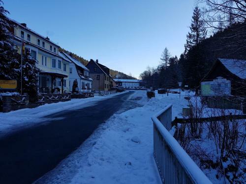 Spacious Apartment In Upper Harz, Near River