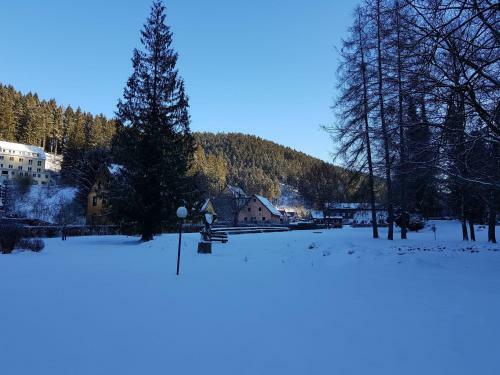 Spacious Apartment In Upper Harz, Near River