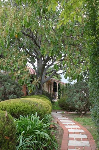 Bed & Breakfast Langmeil Cottages