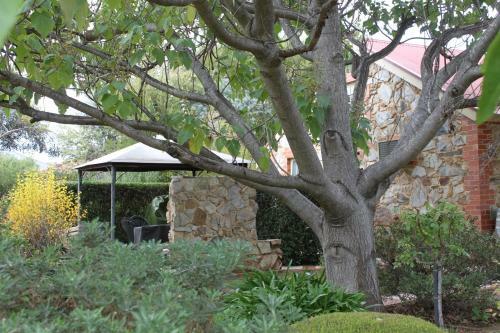Bed & Breakfast Langmeil Cottages