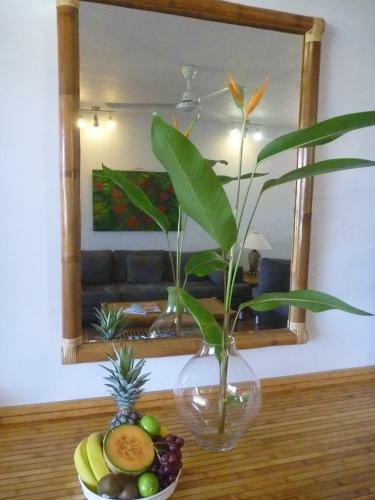 Apartamentos Port Douglas Penthouse Suite
