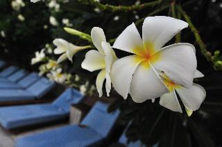 Hotel Ramada Phuket Southsea