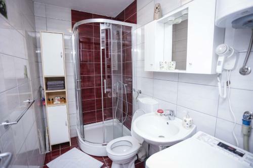 Apartman Pale