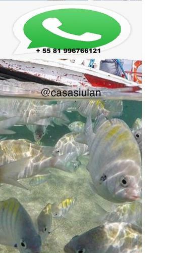 Apartamento Casa Siulan