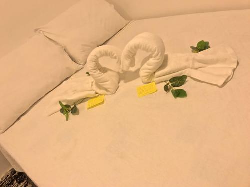 Hostal Pousada Coco Beach