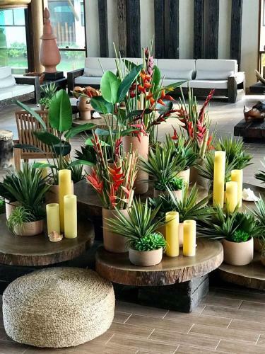 Hotel Samoa Beach Resort
