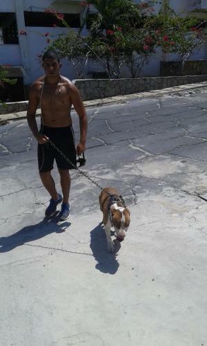 Joia Da Prainha