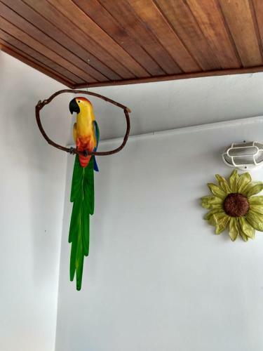 Apartamento Cobertura Em Cabo Frio