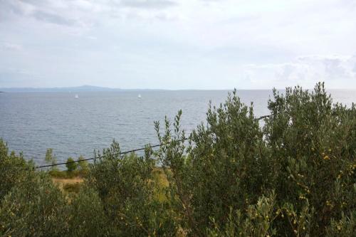 Seaside Holiday House Ivan Dolac (hvar) - 5708