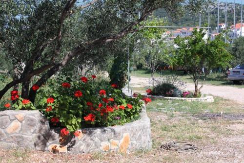 Family Friendly Seaside Apartments Jezera (murter) - 9684
