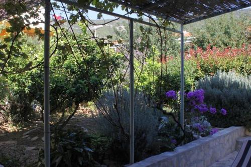 Holiday Apartments Komiza (vis) - 2916
