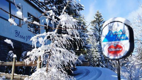 Blue Mountain Hotel