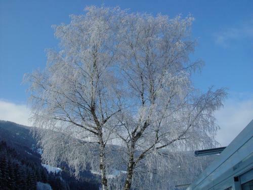 Sporthotel Mirnock