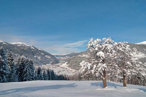 Sporthotel Mirnock