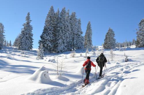 Sporthotel Mirnock