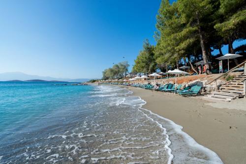 Hotel Candia Park Village