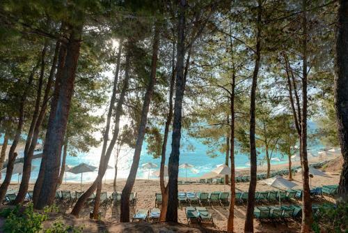 Hotel Candia Park Village