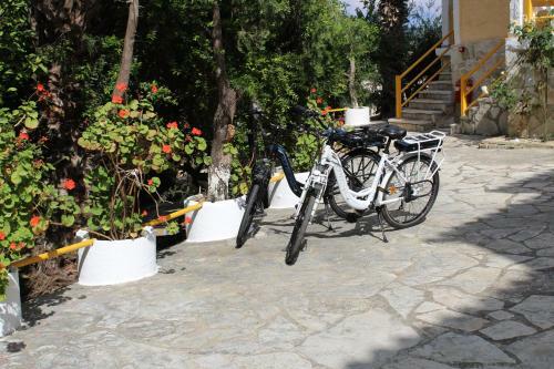Mirabelle Hotel