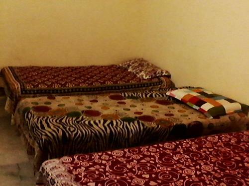 Hostal Indu Dormitory And Guest House