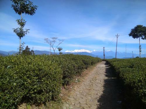 Hotel Bamboo Resort And Atv Park