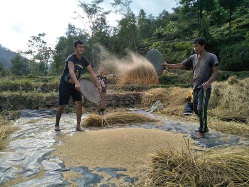 Hotel Bamboo Resort And Atv Park