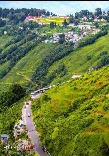 Bed & Breakfast Parvi Homestay