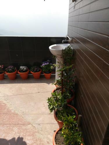 Himshikha Homestay