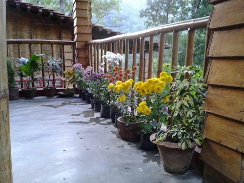 Agroturismo Tathagata Farm