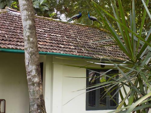 Bed & Breakfast Elphinstone Residency