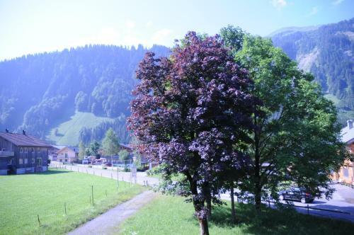 Apartamento Haus Maria-theresia