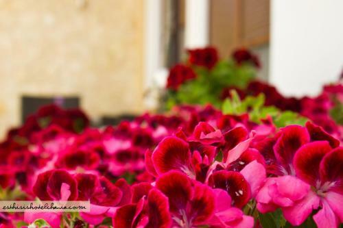 Apartamento Esthisis Suites Chania