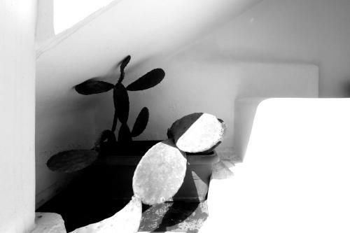 Apartamento Morfoula's Studios