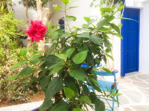 Hostal Villa Galini