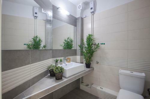 Alterra Vita Apartments