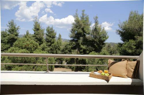 Hotel Porto Carras Sithonia