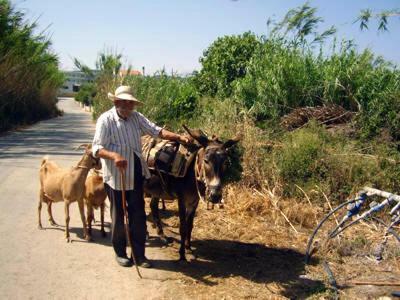 Camping Mithimna
