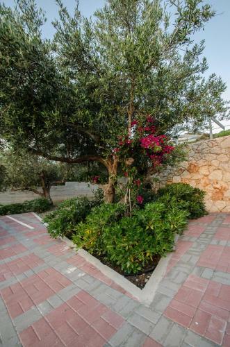 Anemon Villas