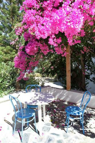 Hotel - Apartments Delfini