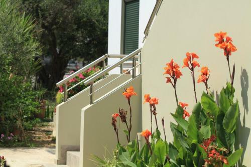 Aparthotel Xenios Zeus Apartments