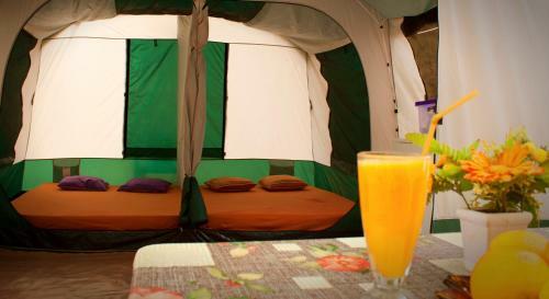 Camping Nopigia