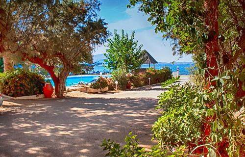 Camping Nopigia