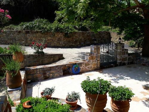 Agroturismo Traditional House Koukounara