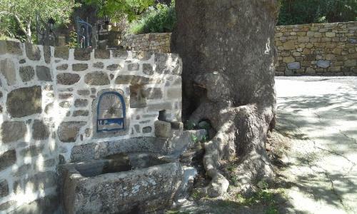 Agroturismo Traditional House Koukounara