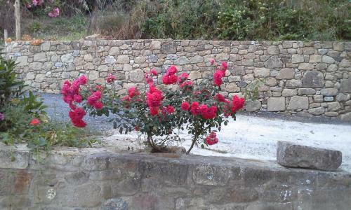 Agroturismo Traditional House Koukounara