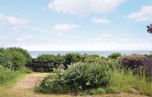 Three-bedroom Holiday Home In Hornbak