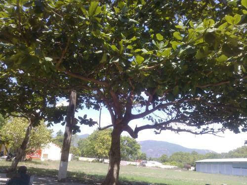Hotel Nh� Ngh? H?nh Minh