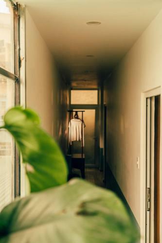 Hotel Pi House