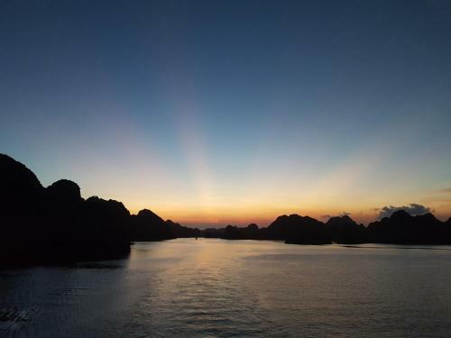 Oasis Bay Party Cruise