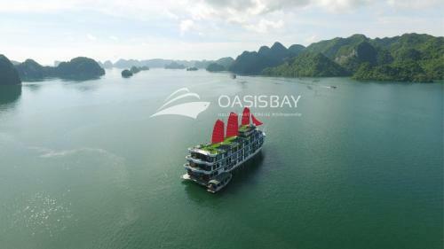 Oasis Bay Party Cruise